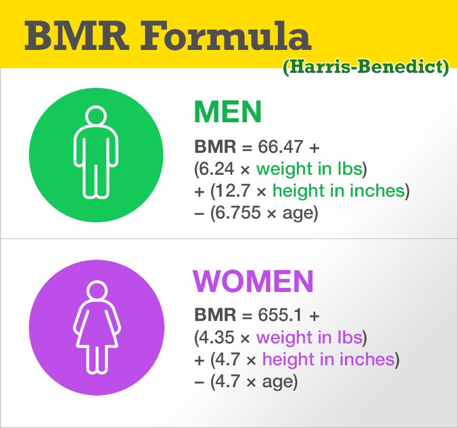 BMR Formula (Harris-Benedict)
